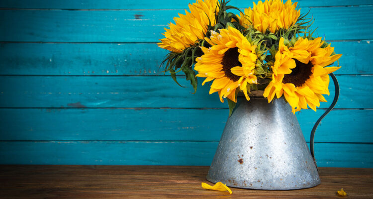 bouquet de tournesol
