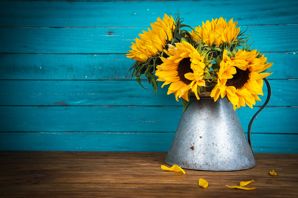 bouquet de tournesol