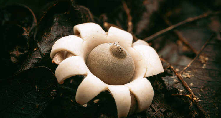 calendrier lunaire du 28 septembre