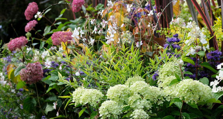 calendrier lunaire du 27 septembre 2021