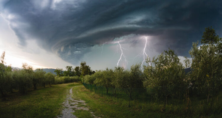 L'orage gronde