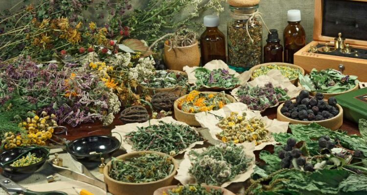 Plantes médicinales et aromatiques