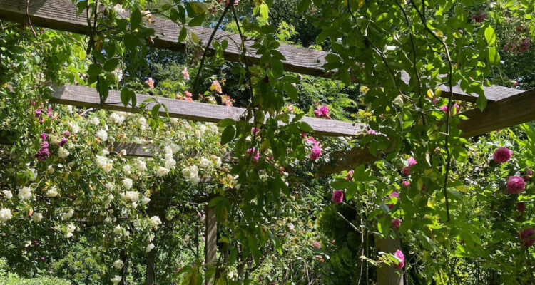 Jardin des Près - Normandie