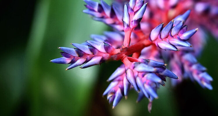 calendrier lunaire du 12 octobre