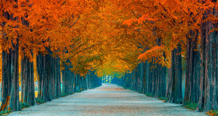 calendrier lunaire du 24 octobre