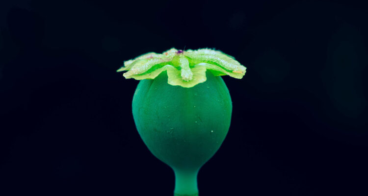 calendrier lunaire du 30 octobre