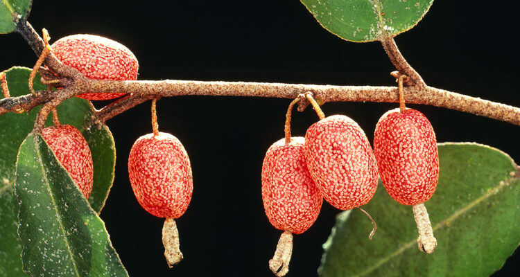 calendrier lunaire du mercredi 27 octobre
