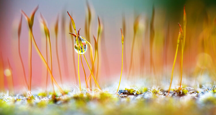 calendrier lunaire du 13 octobre