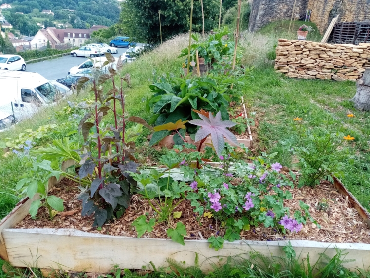 jardin sarlat - photo2-Edit ©Compost'ère
