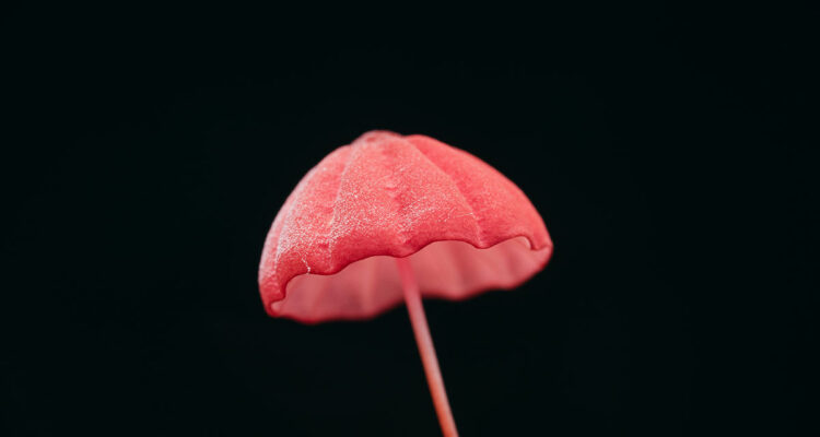 calendrier lunaire du 29 octobre