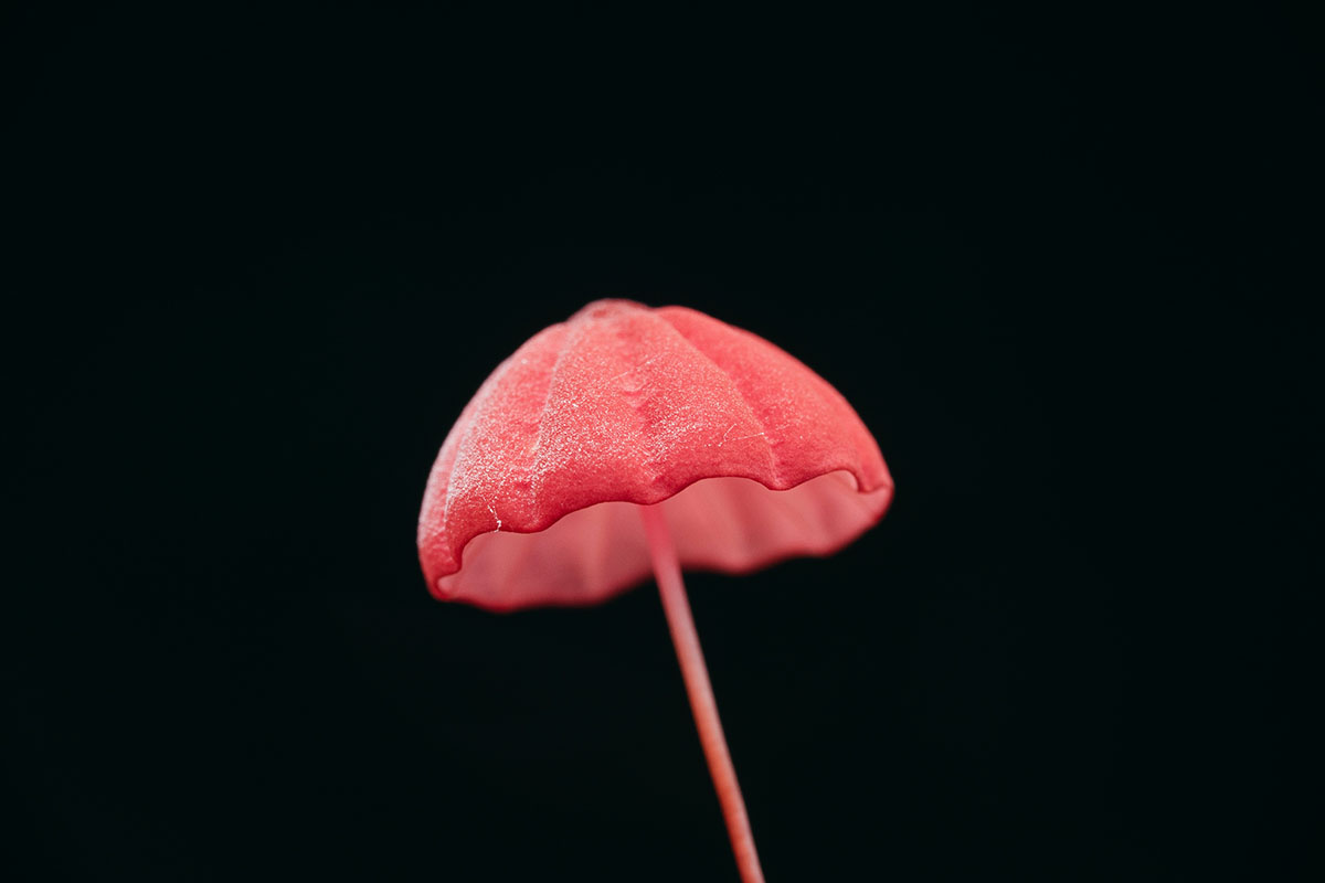 calendrier lunaire du 29 octobre