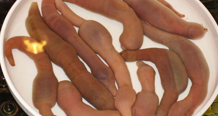 plat dégueu