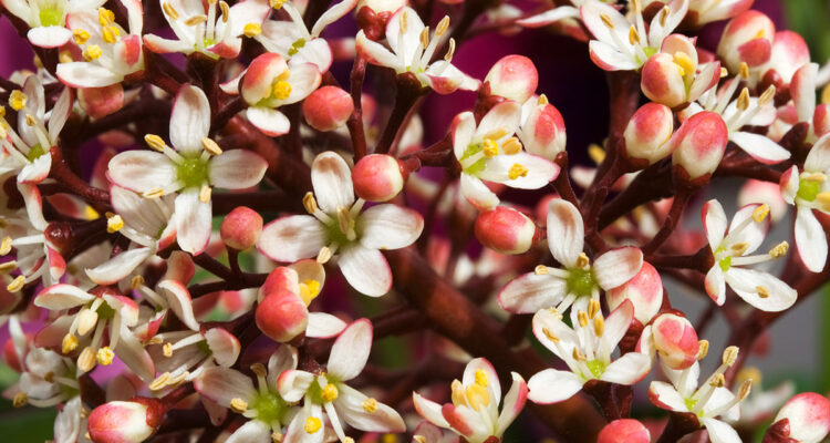 calendrier lunaire du 22 octobre