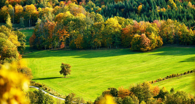 calendrier lunaire du 15 octobre