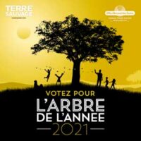 AA_2021_VOTEZ_300 info du jour Hortus Focus