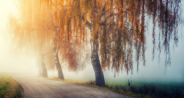 calendrier lunaire du 24 novembre 2021