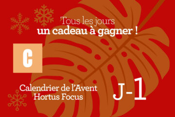 Calendrier de l'avent-1