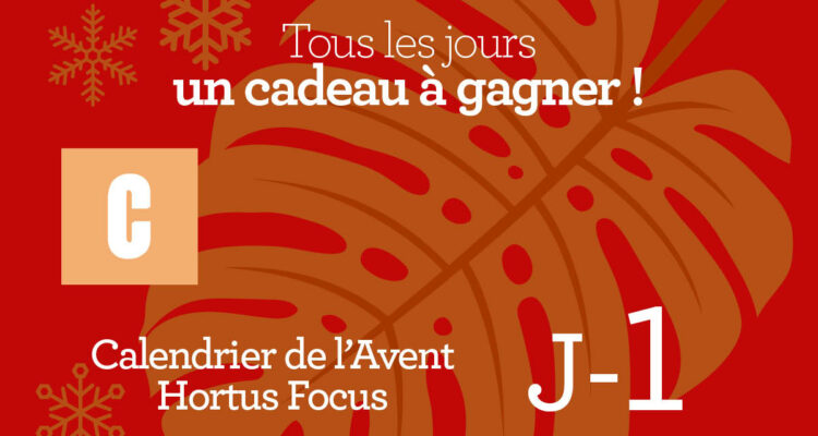 Calendrier de l'avent-1