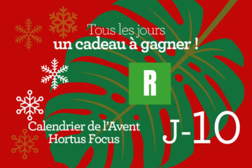 Calendrier de l'avent-10