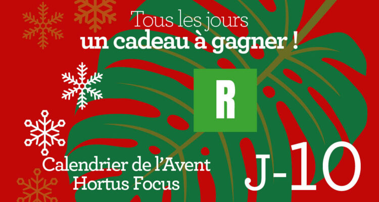 Calendrier de l'avent-10