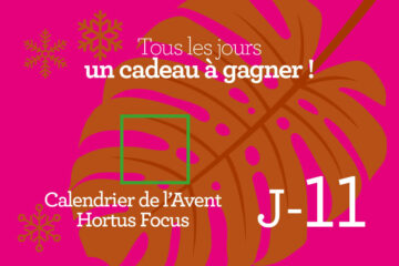 Calendrier de l'avent-11