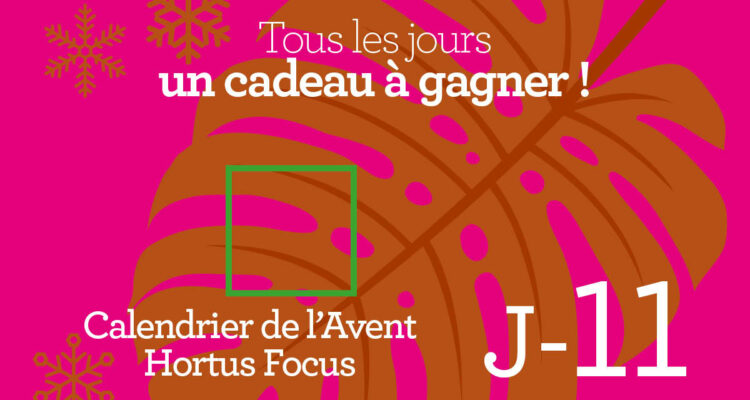 Calendrier de l'avent-11