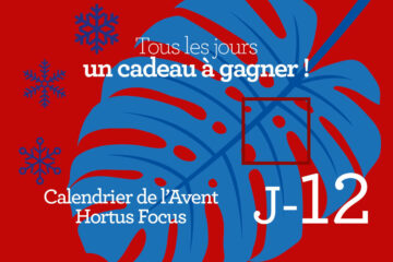 Calendrier de l'avent-12
