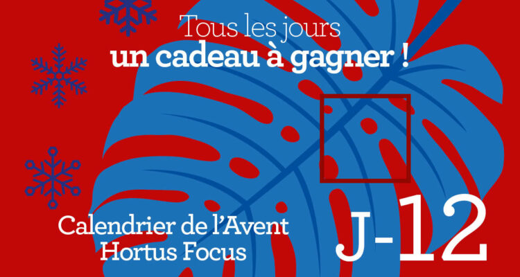 Calendrier de l'avent-12