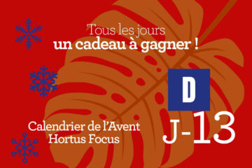Calendrier de l'avent-13