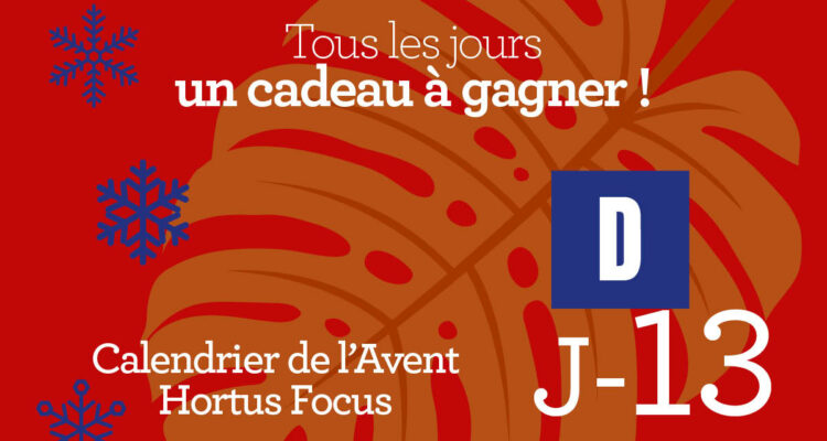 Calendrier de l'avent-13