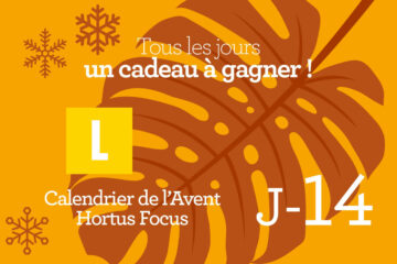 Calendrier de l'avent-14