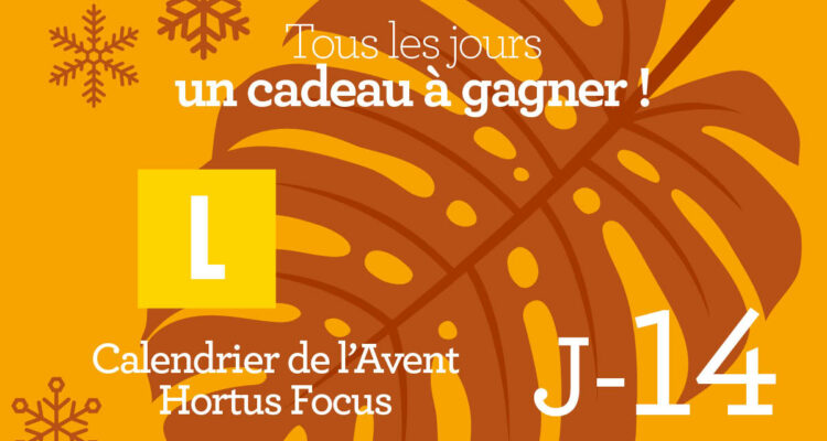 Calendrier de l'avent-14