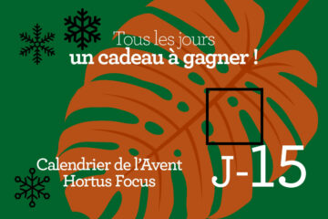 Calendrier de l'avent-15