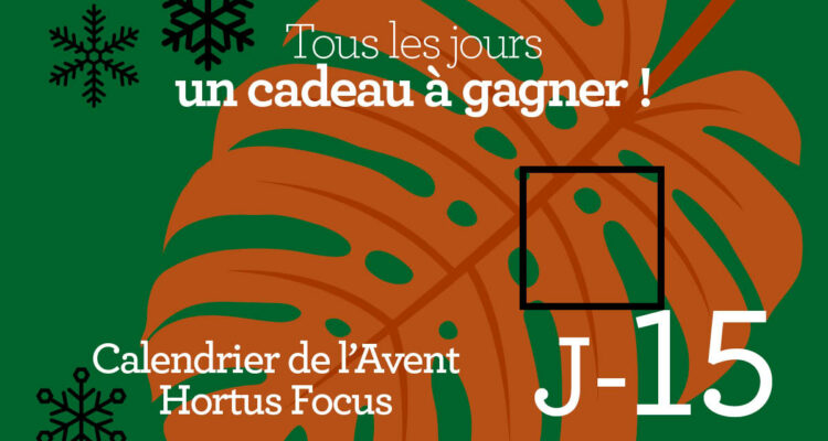 Calendrier de l'avent-15