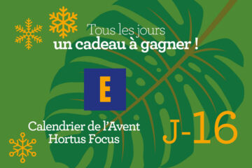 Calendrier de l'avent-16