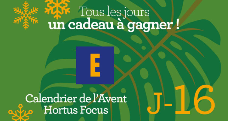 Calendrier de l'avent-16