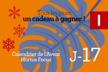 Calendrier de l'avent-17
