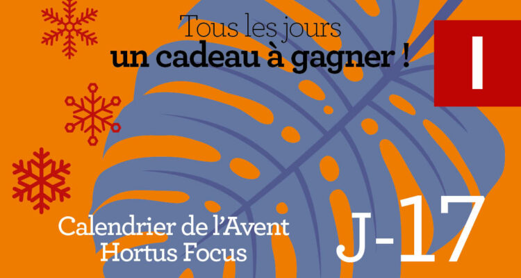 Calendrier de l'avent-17