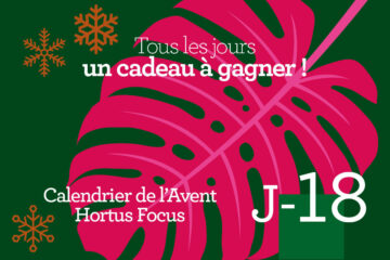 Calendrier de l'avent-18