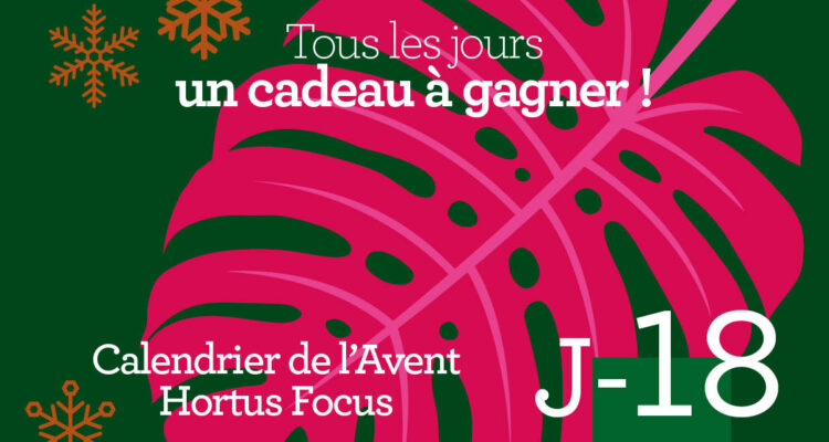 Calendrier de l'avent-18