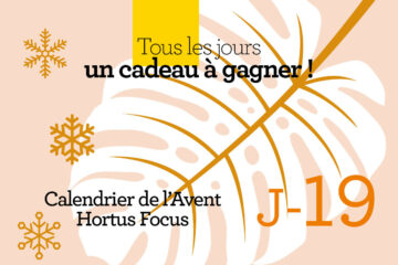 Calendrier de l'avent-19