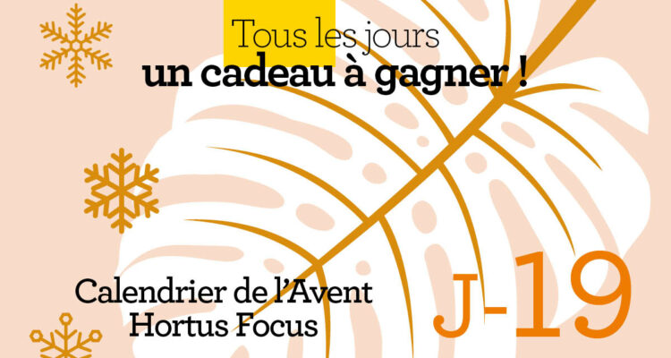 Calendrier de l'avent-19