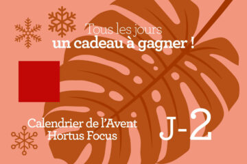 Calendrier de l'avent-2