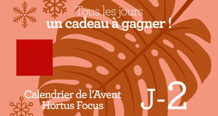 Calendrier de l'avent-2