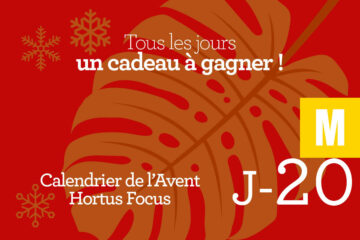 Calendrier de l'avent-20