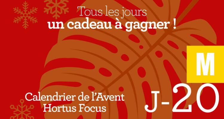 Calendrier de l'avent-20