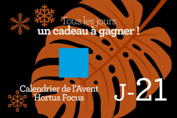 Calendrier de l'avent-21