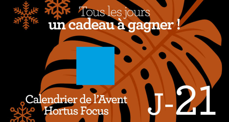 Calendrier de l'avent-21