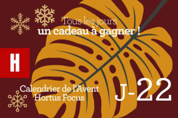 Calendrier de l'avent-22