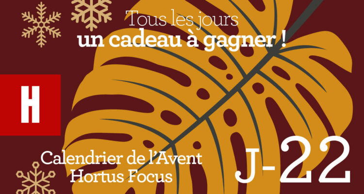 Calendrier de l'avent-22
